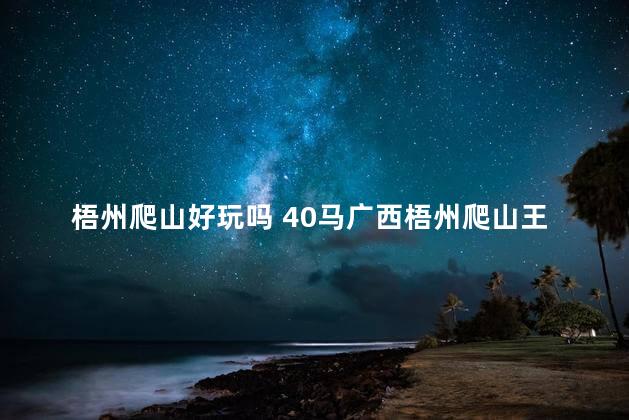 梧州爬山好玩吗 40马广西梧州爬山王